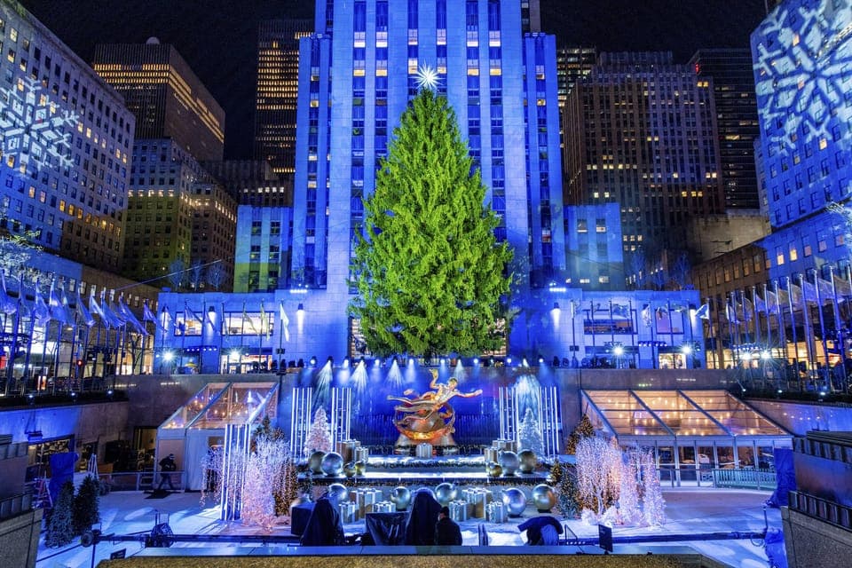 Magical Christmas Lights Carriage Ride (Up to 4 Adults) Gallery Image 1