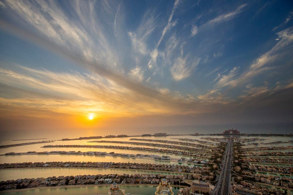 The View At The Palm Observatory Entry Ticket Gallery Image 2