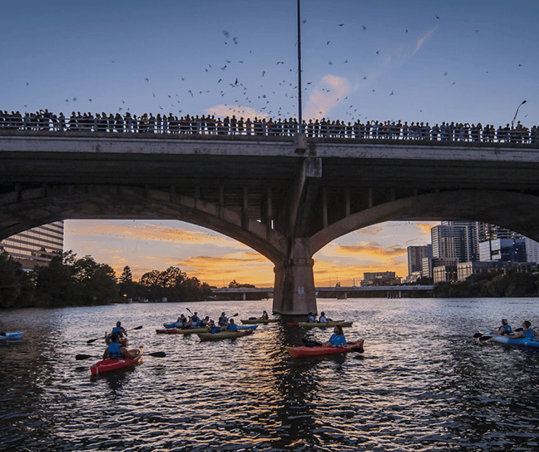 42. Congress Avenue Sunset Bat Kayaking Tour - Image 42