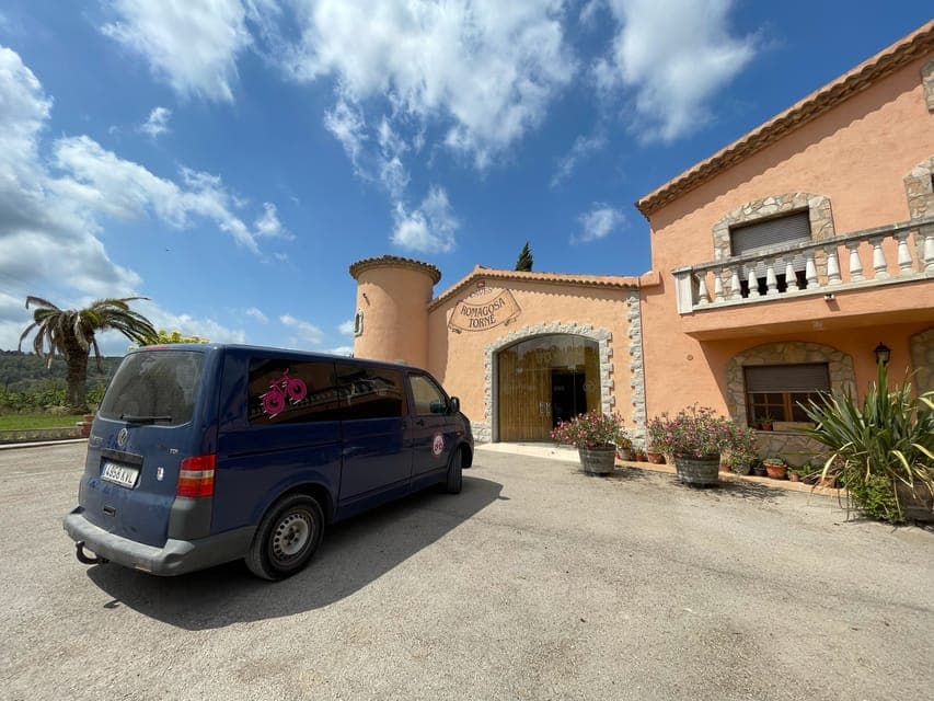 From Sitges: Wine Tasting at 2 Wineries, Snacks and Pickup Gallery Image 4