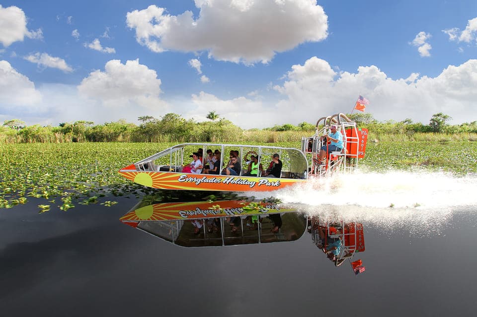 Everglades Experience, Bay Cruise & Open-top Bus Tour Gallery Image 3