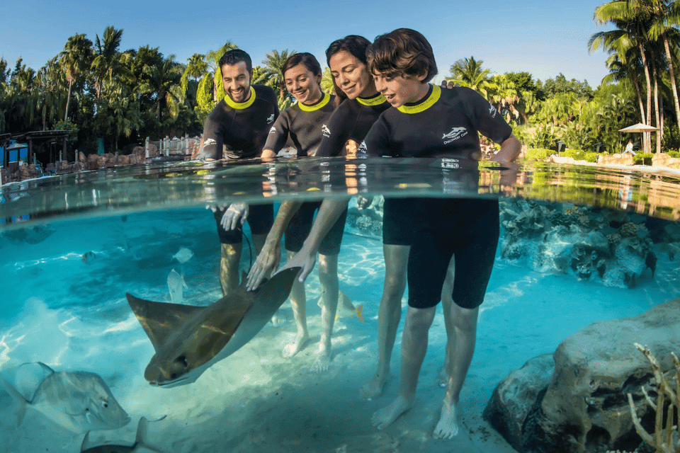 Discovery Cove Admission Ticket & Additional Parks Gallery Image 2