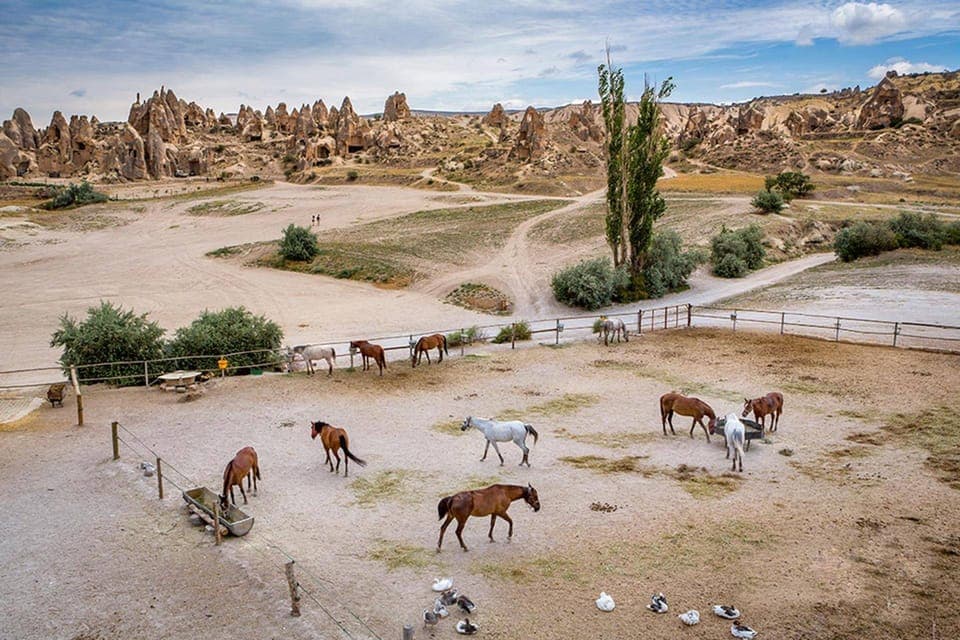 9. From Istanbul: Cappadocia, Ephesus, & Pamukkale Private Tour - Image 9