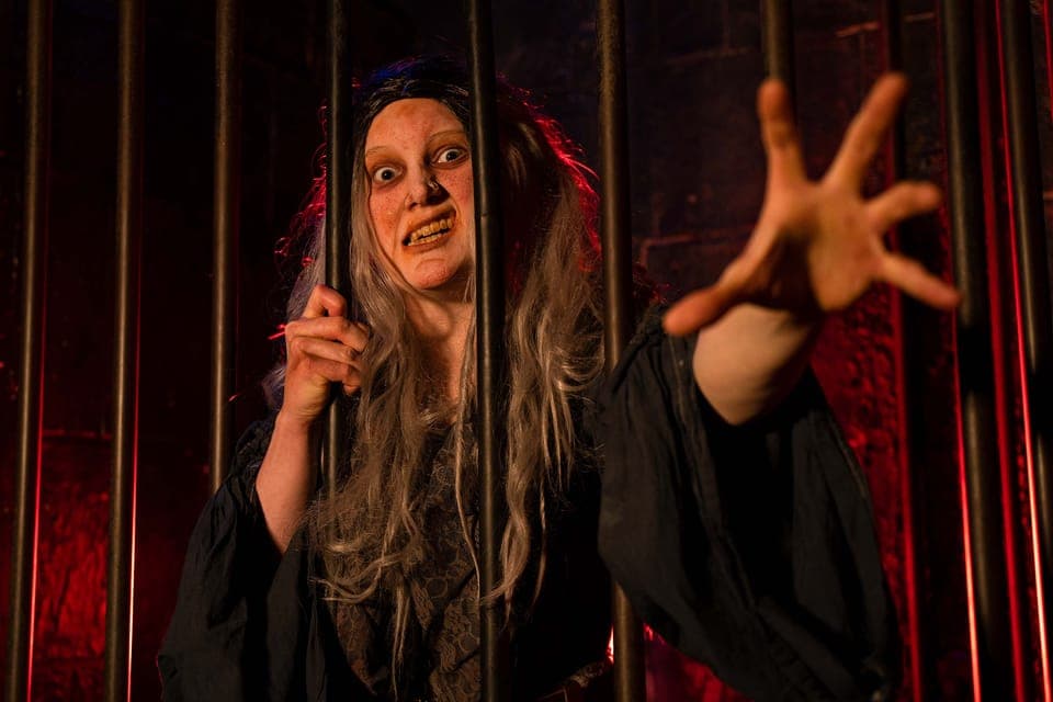 The London Dungeon and London Eye Combo Ticket Gallery Image 3