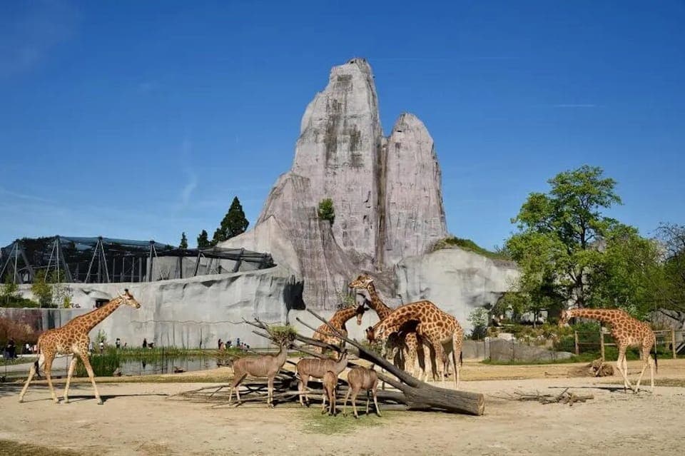 Paris Zoological Park Entrance Ticket Gallery Image 2