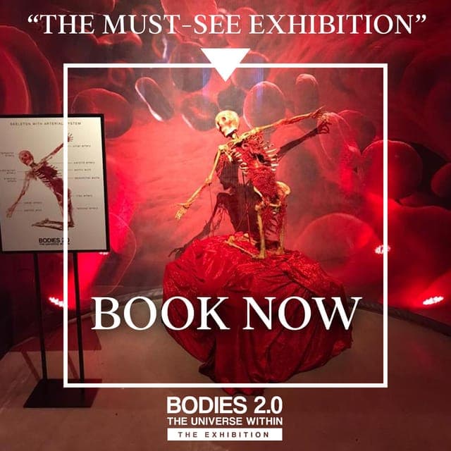 Santa Monica: BODIES 2.0 The Universe Within Exhibit Ticket Gallery Image 2