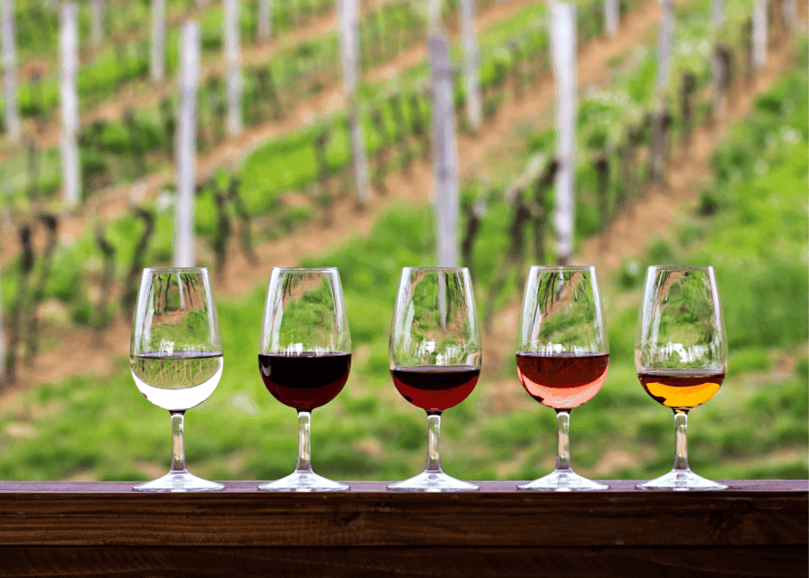 From Austin: Half-Day Hill Country Wine Shuttle Gallery Image 2