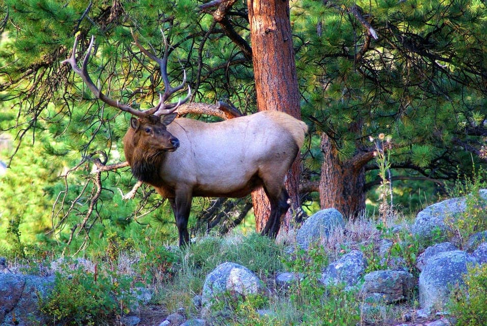 From Denver: Guided Hike in Rocky Mountain National Park Gallery Image 3