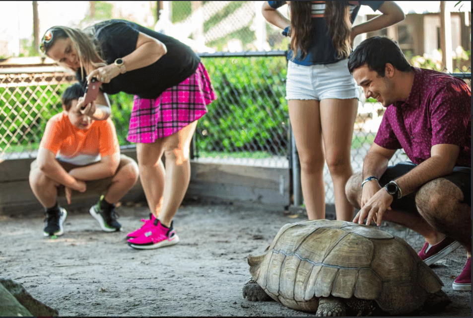 Everglades: Sawgrass Park Reptile Exhibit Private Tour Gallery Image 3