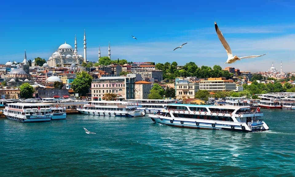 Istanbul: Guided Bosphorus Cruise & Golden Horn Bus Tour Gallery Image 1