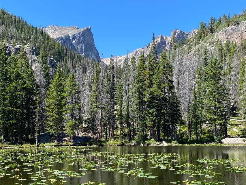 From Denver: Rocky Mountains Jeep Tour with Picnic Lunch Gallery Image 2
