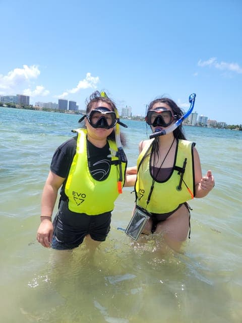 Beginner-Friendly Island Snorkeling by SUP or Kayak Gallery Image 2