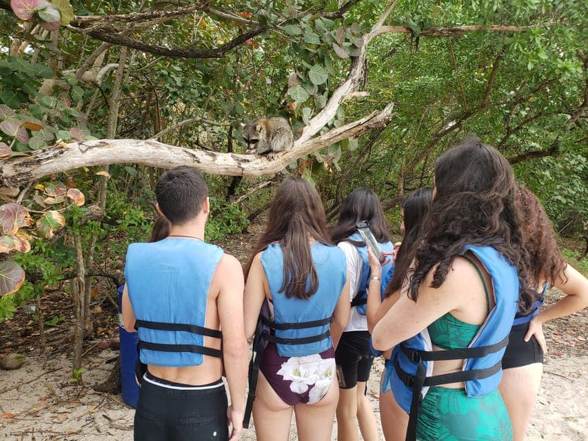Beginner-Friendly Island Snorkeling by SUP or Kayak Gallery Image 4