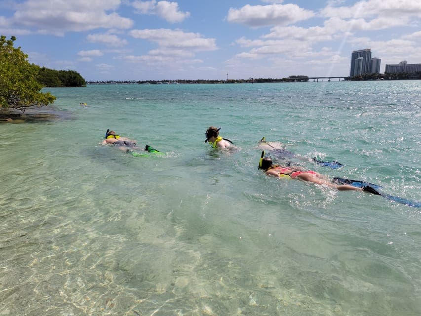 3. Beginner-Friendly Island Snorkeling by SUP or Kayak - Image 3