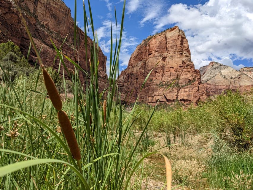 From Las Vegas: Zion National Park Small Group Adventure Gallery Image 1