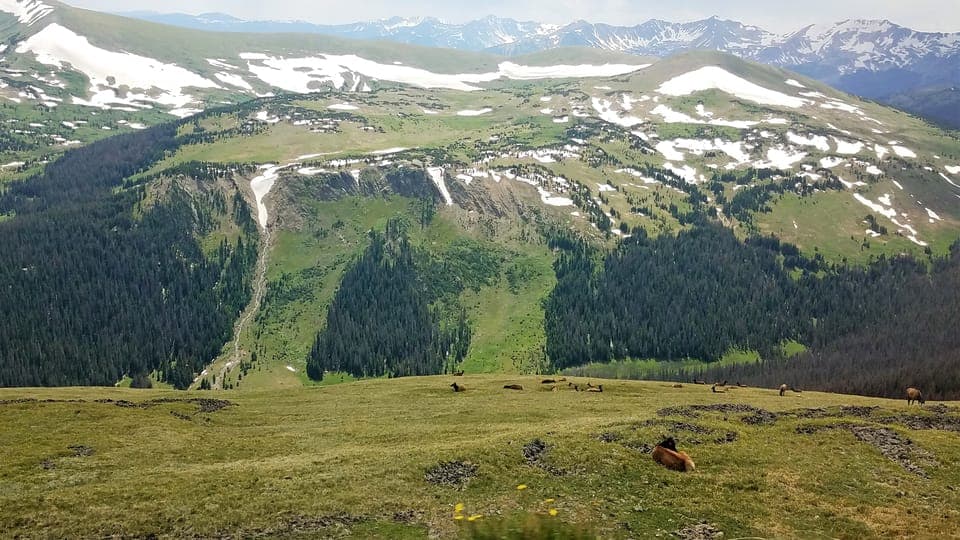 Rocky Mountain National Park Tour with Picnic Lunch Gallery Image 3