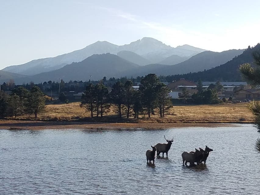 Rocky Mountain National Park Tour with Picnic Lunch Gallery Image 2