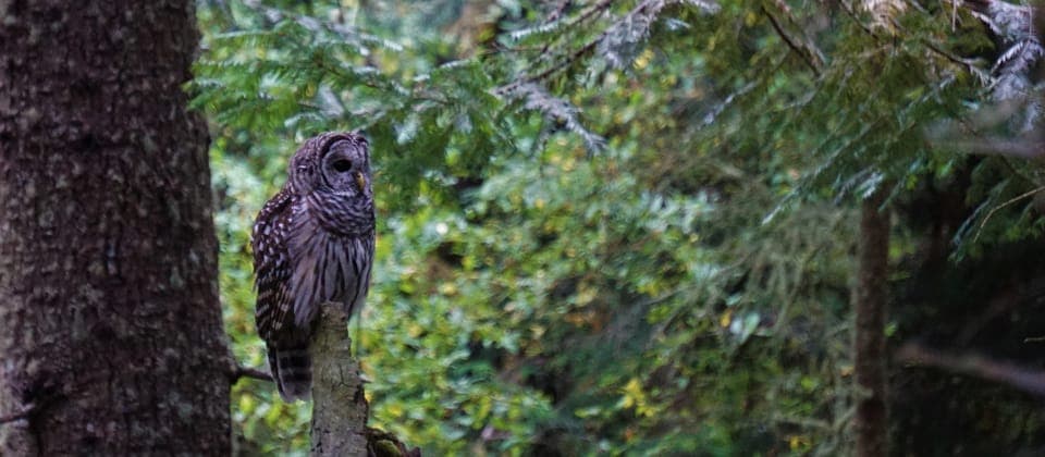 Private Whidbey Island & Deception Pass Tour Gallery Image 4