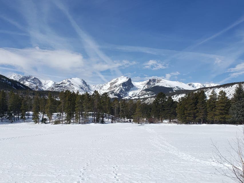 From Denver: Rocky Mountain National Park Winter/Spring Tour Gallery Image 1