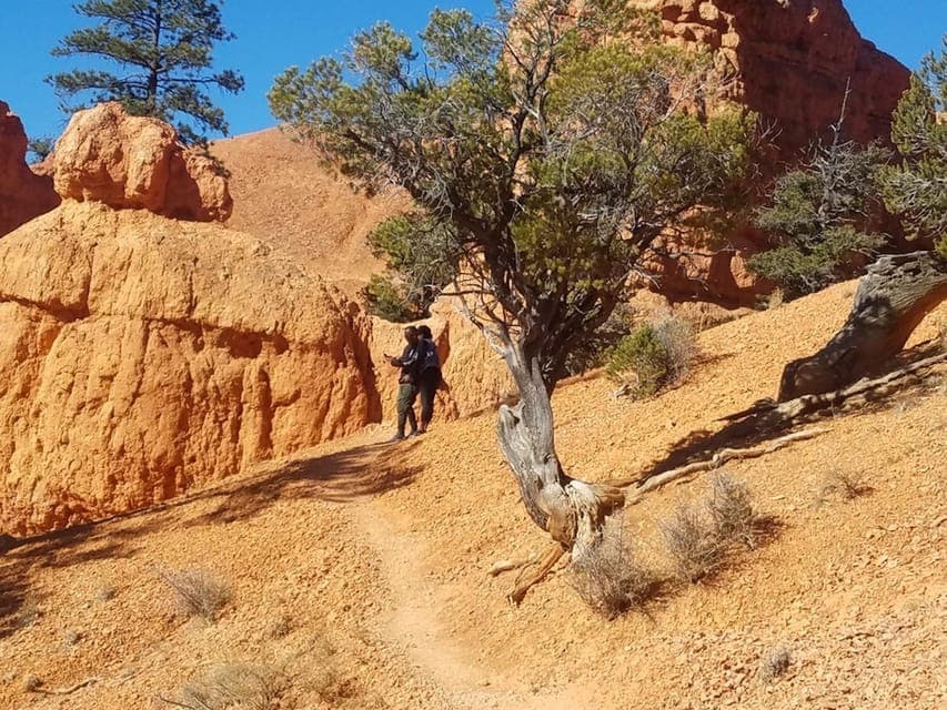 From Las Vegas: Zion and Bryce Canyon Guided Day Tour Gallery Image 1