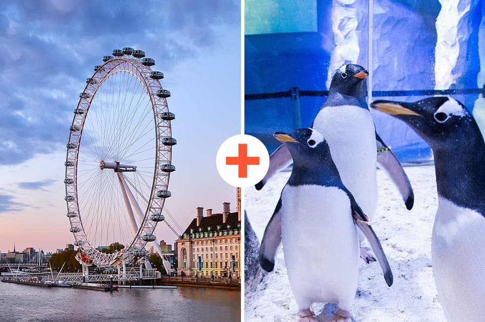 London: SEA LIFE & London Eye Combo Ticket - Image NaN