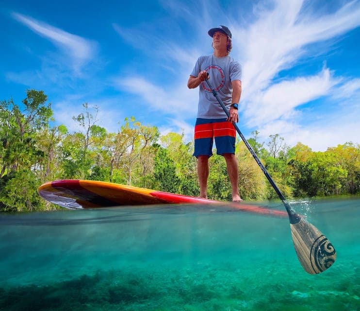 5. Sanford: Guided SUP or Kayak Manatee-Watching Tour - Image 5