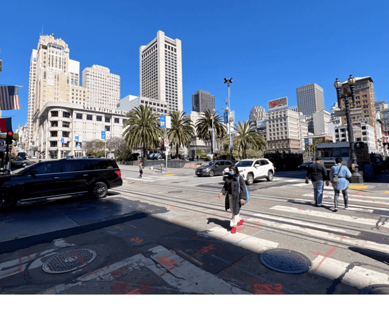 San Francisco: Guided Half-Day Group City Tour Gallery Image 3