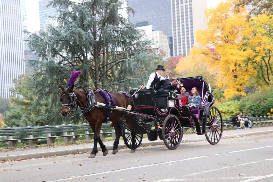 Manhattan: VIP Private Horse Carriage Ride in Central Park Gallery Image 2
