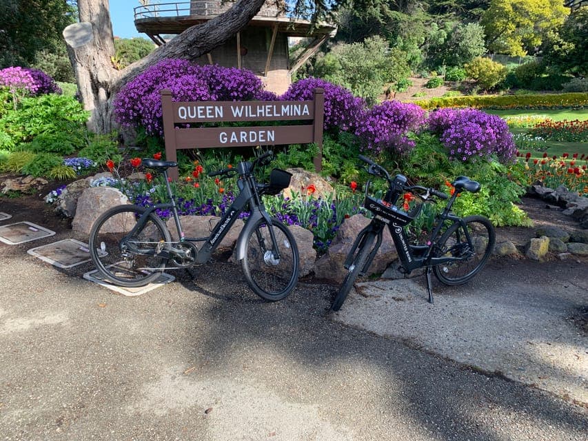 Golden Gate Park Guided Bike or eBike Tour Gallery Image 3
