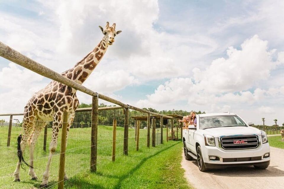 Orlando: Drive-Thru Safari Park at Wild Florida - Image NaN