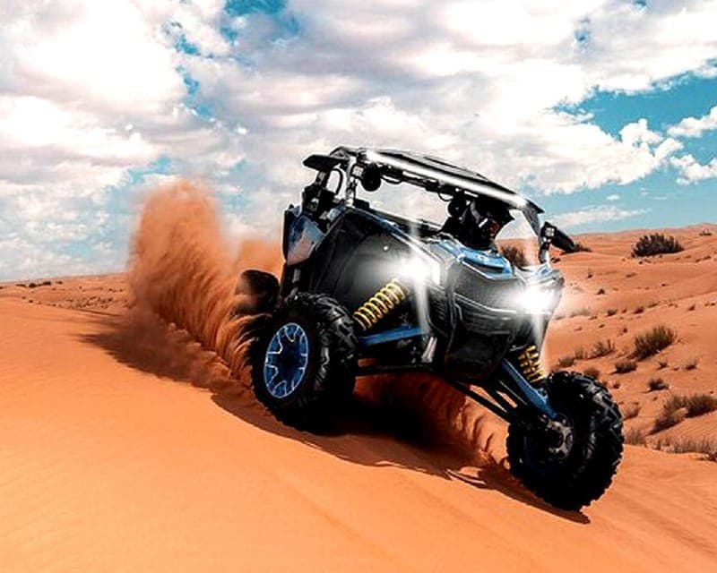 Can-Am 1000 CC Gallery Image 4