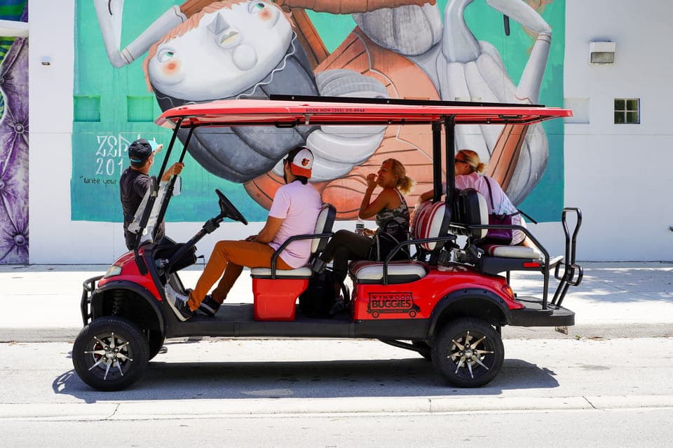 2. Wynwood Art District 1-Hour Wynwood Buggies Street Art Tour - Image 2