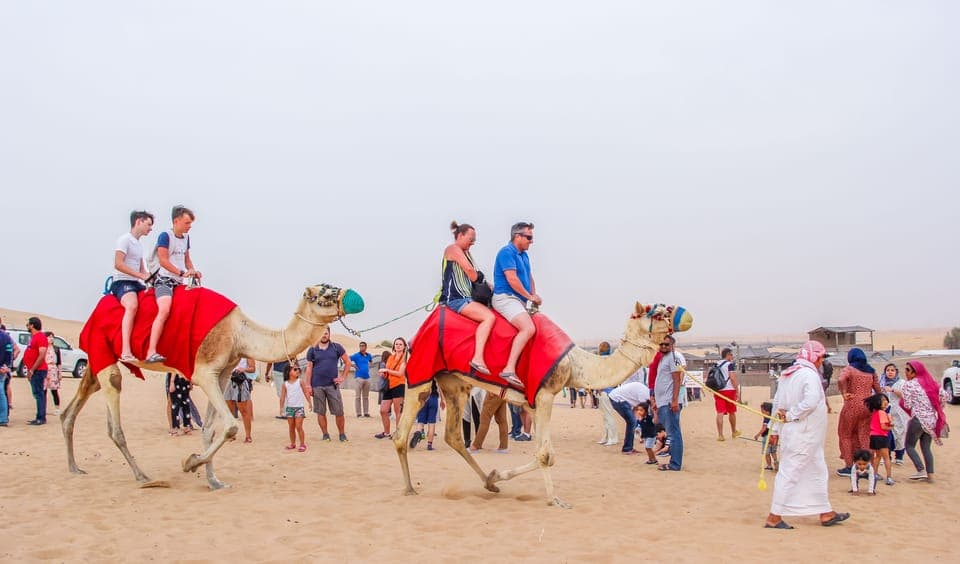 24. Dubai Sunrise Desert Camel Trek with Breakfast - Image 24