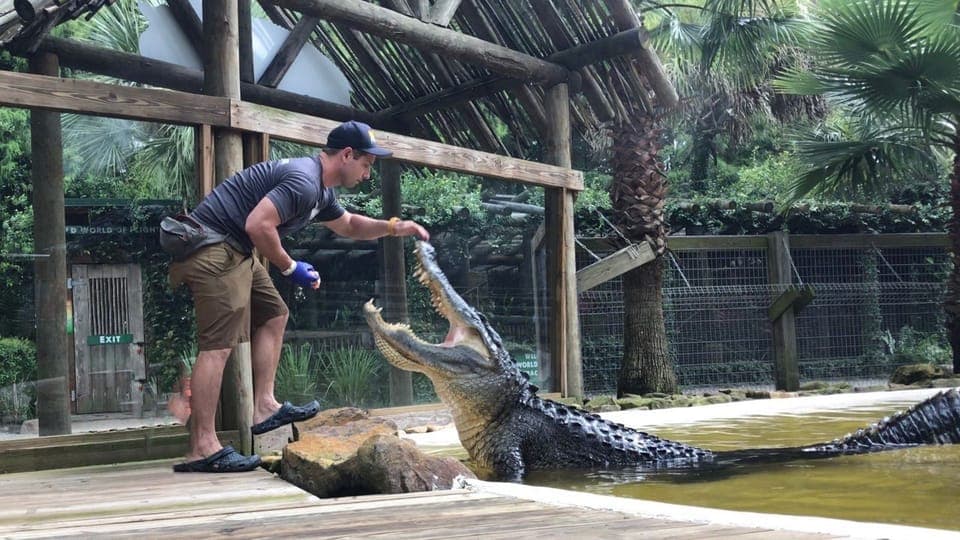 Everglades Airboat Ride and Wildlife Park Ticket Gallery Image 3