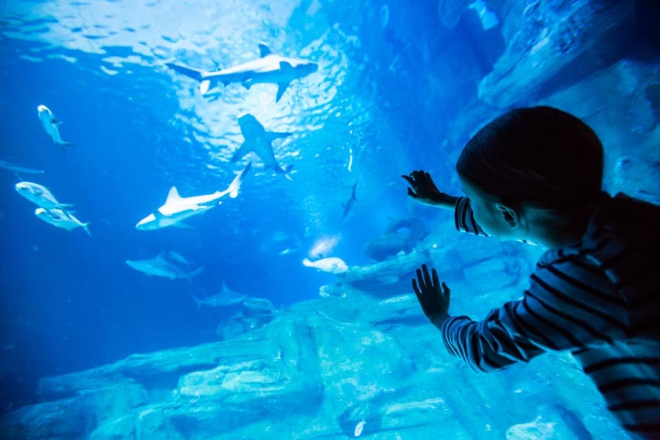 Aquarium de Paris Entrance Ticket Gallery Image 1