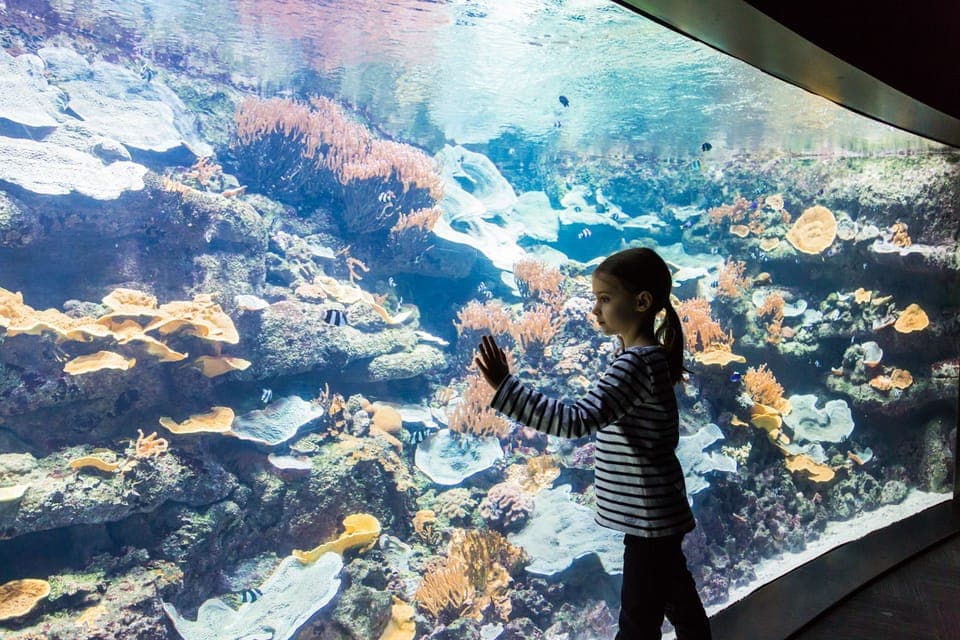 Aquarium de Paris Entrance Ticket Gallery Image 2