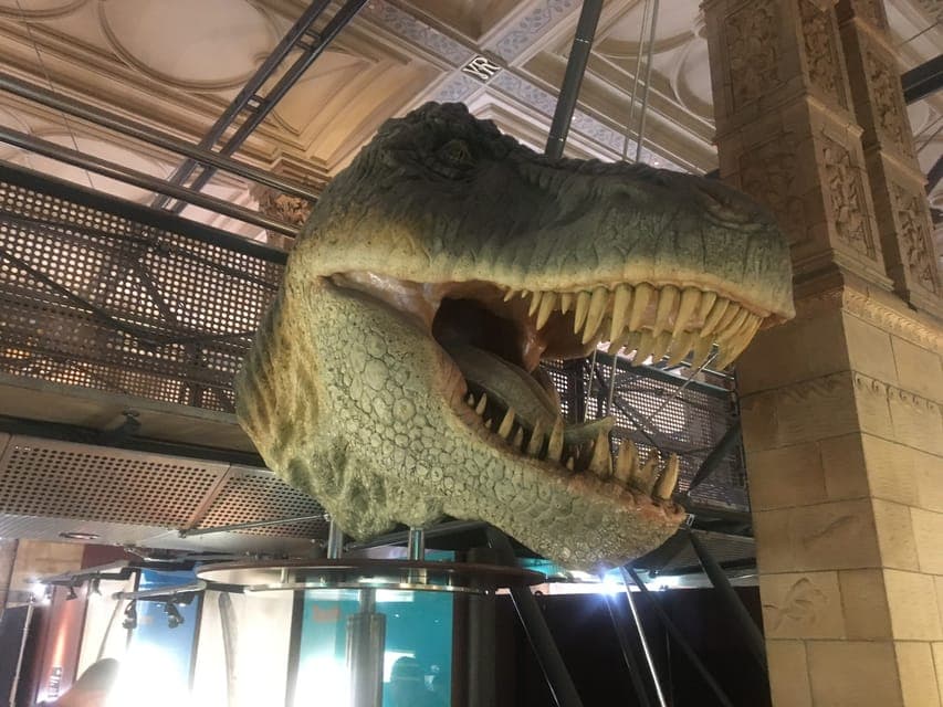 Natural History Museum Entry Ticket and Guided Tour Gallery Image 2