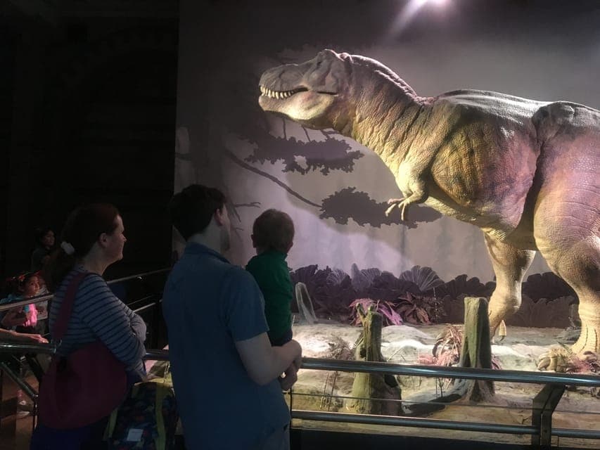 Natural History Museum Entry Ticket and Guided Tour Gallery Image 3