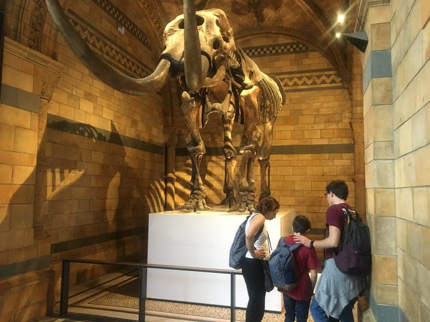 Natural History Museum Entry Ticket and Guided Tour Gallery Image 4