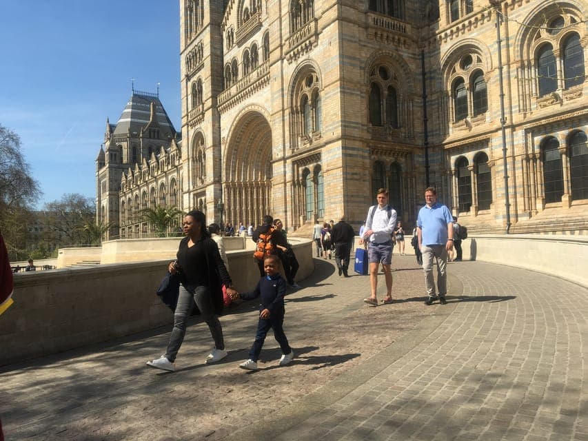 5. Natural History Museum Entry Ticket and Guided Tour - Image 5