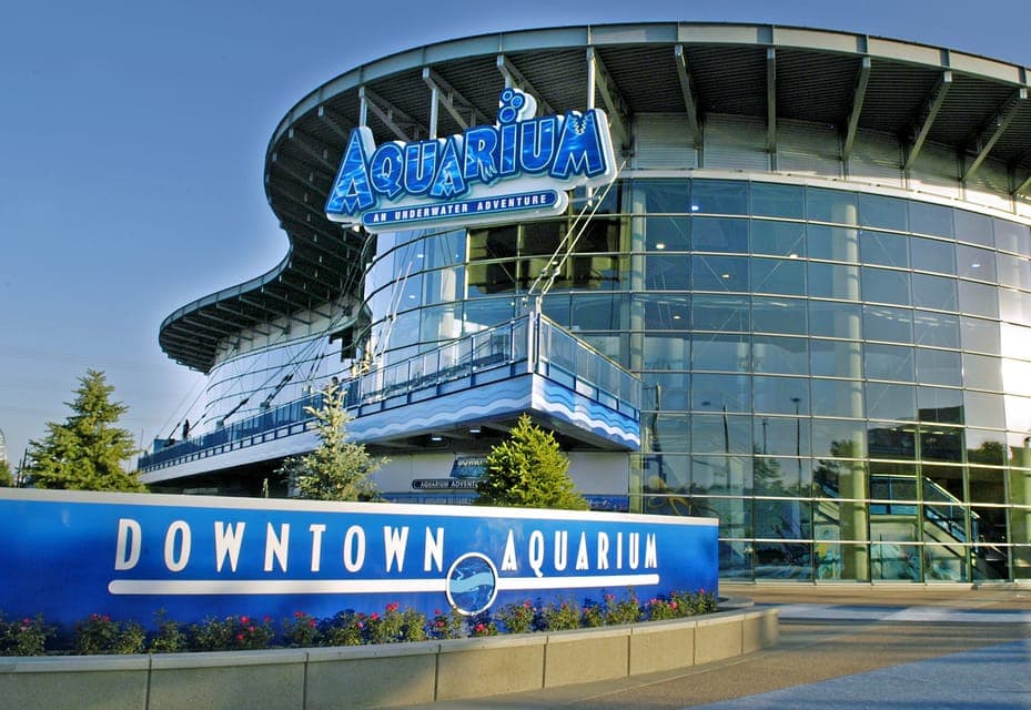 35. Downtown Aquarium All-Day Pass - Image 35