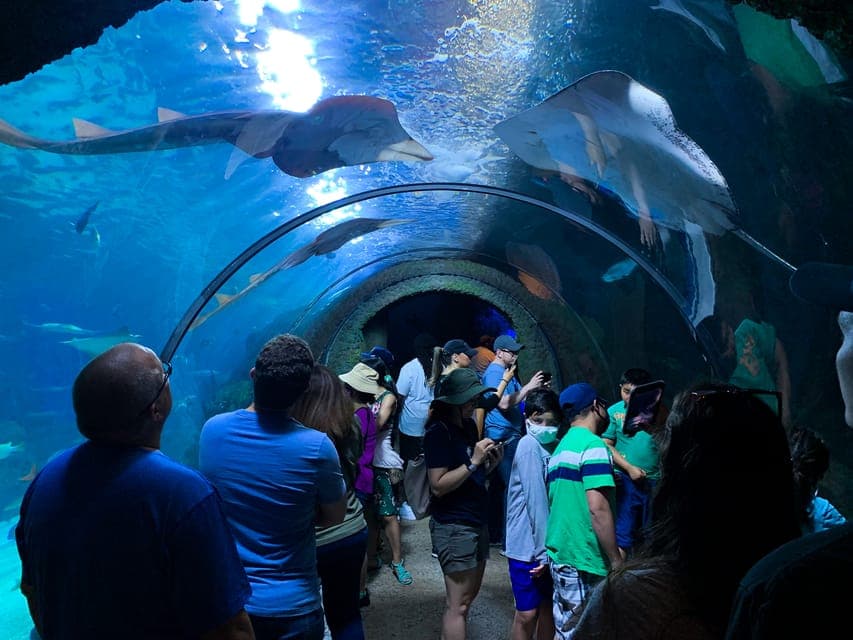 Downtown Aquarium All-Day Pass Gallery Image 4