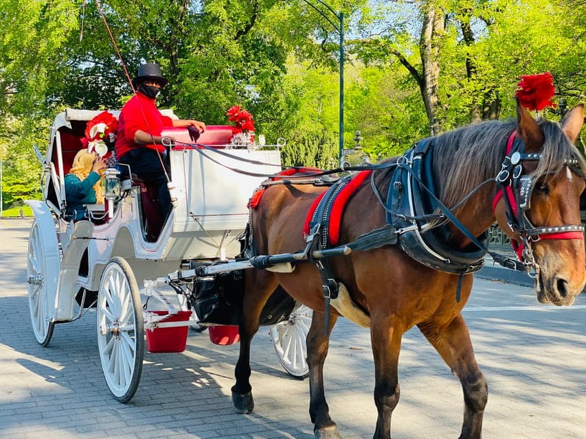Central Park Private Horse and Carriage Tour Gallery Image 2