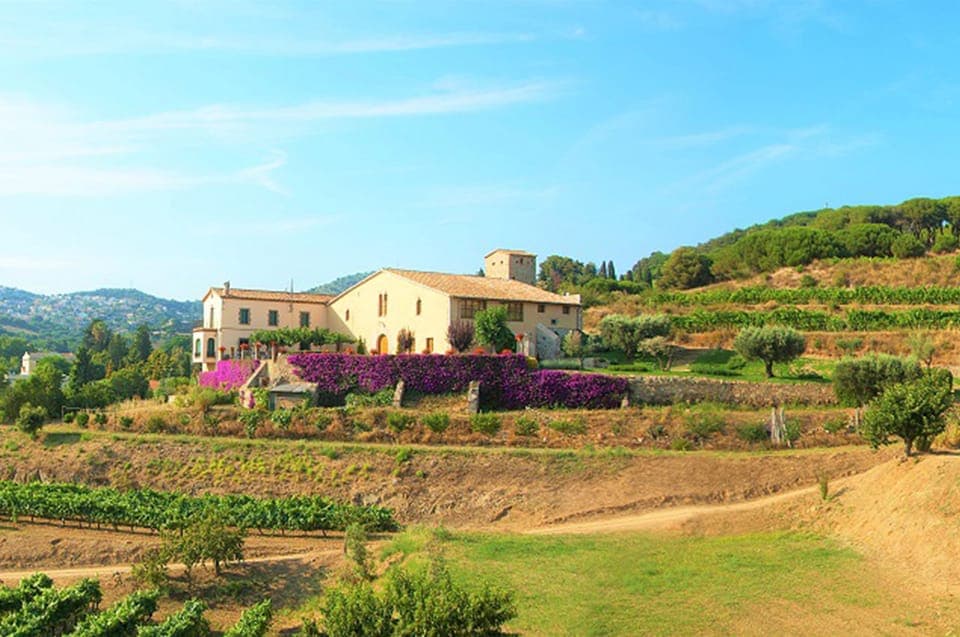 35. From Barcelona: Private Alella Wine Tour by Electric Bike - Image 35