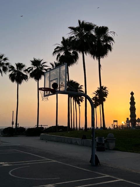 Venice Beach : French guided walking tour Gallery Image 3