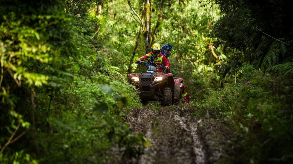 3. Istanbul: Belgrad Forest ATV Tour with Ziplining Option - Image 3