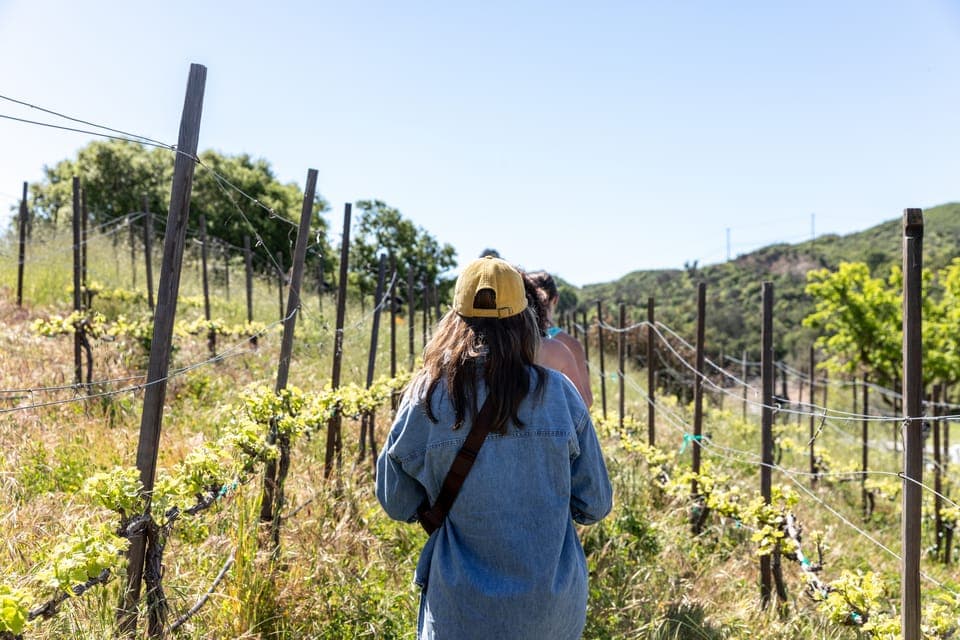 28. Malibu: Guided Vineyard Hike with Photo Stops and Wine - Image 28