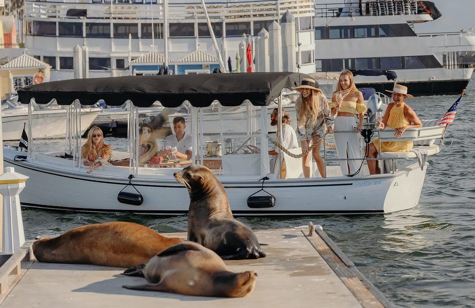Luxury Cruise with Wine, Cheese & Sea Lions - Image NaN