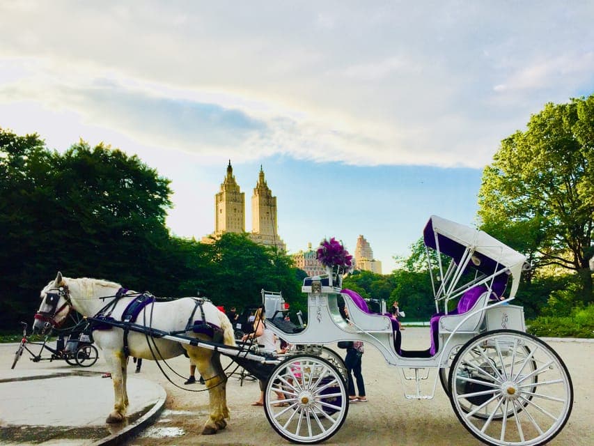 29. Manhattan: VIP Private Horse Carriage Ride in Central Park - Image 29