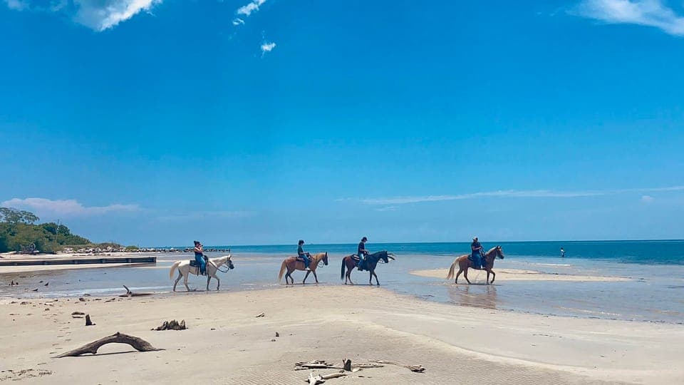 Beach Horse Ride & Nature Trail - Image NaN